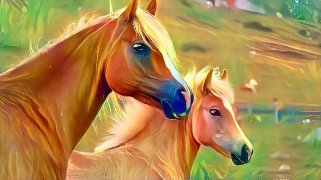 Palomino Horses