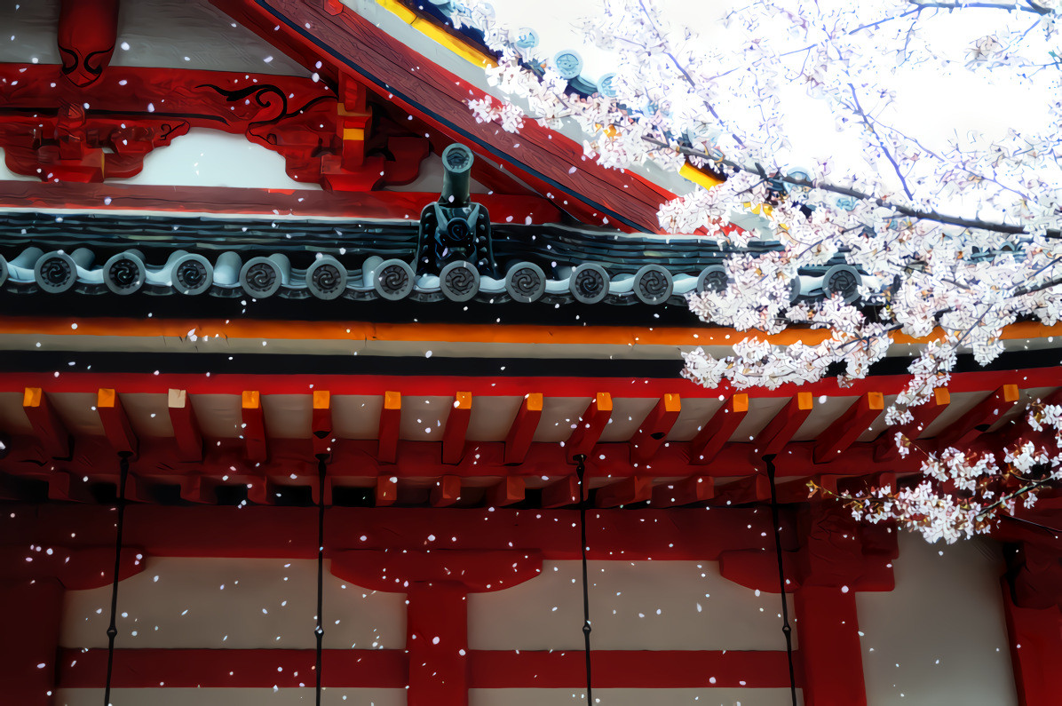 Blowing Spring Petals, Sakura, Asia