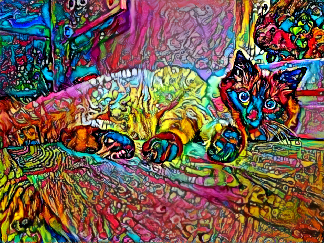 Colour cat