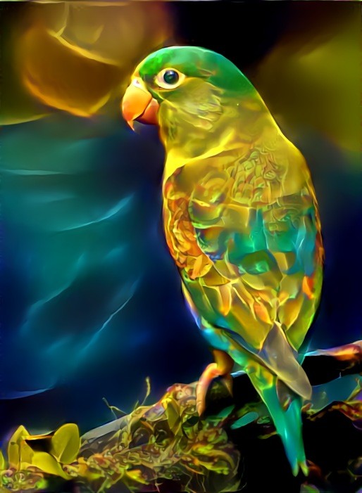 Parrot