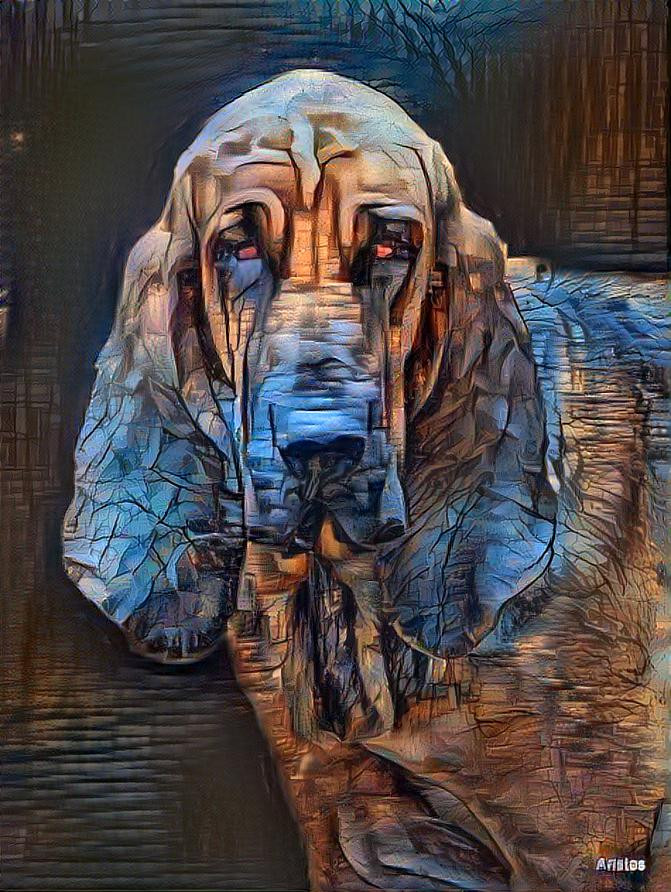 My bloodhound girl Lorenza