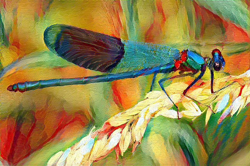 Dragonfly