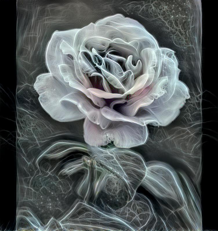 Ghost flower