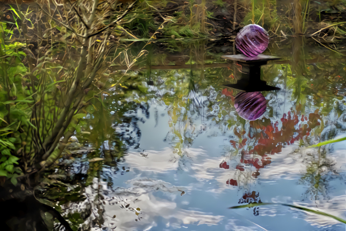 Creekside Reflections