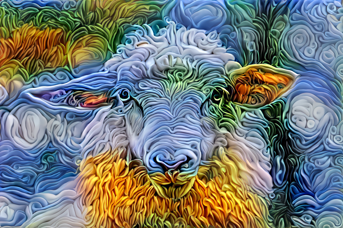 Deep Sheep 25