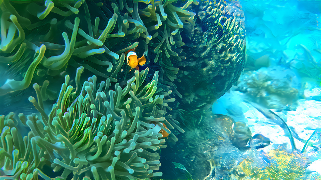 Fish in Coral Reef