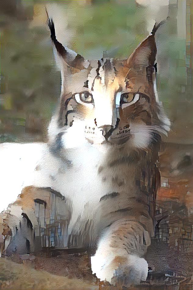 The big forest cat 