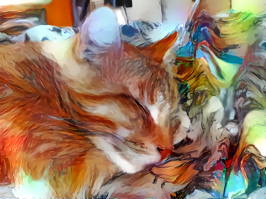 The Soul Nurturing Properties of Witnessing a Sleeping Cat