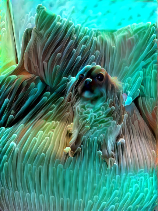 Image of cute pupper by me | Style from Remi: https://deepdreamgenerator.com/ddream/26ft6q5s7gr (Thanks Remi!)