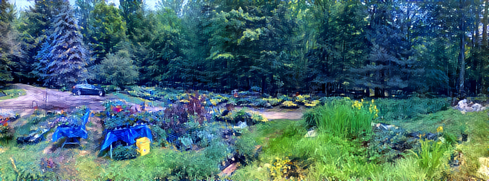 Hosta farm