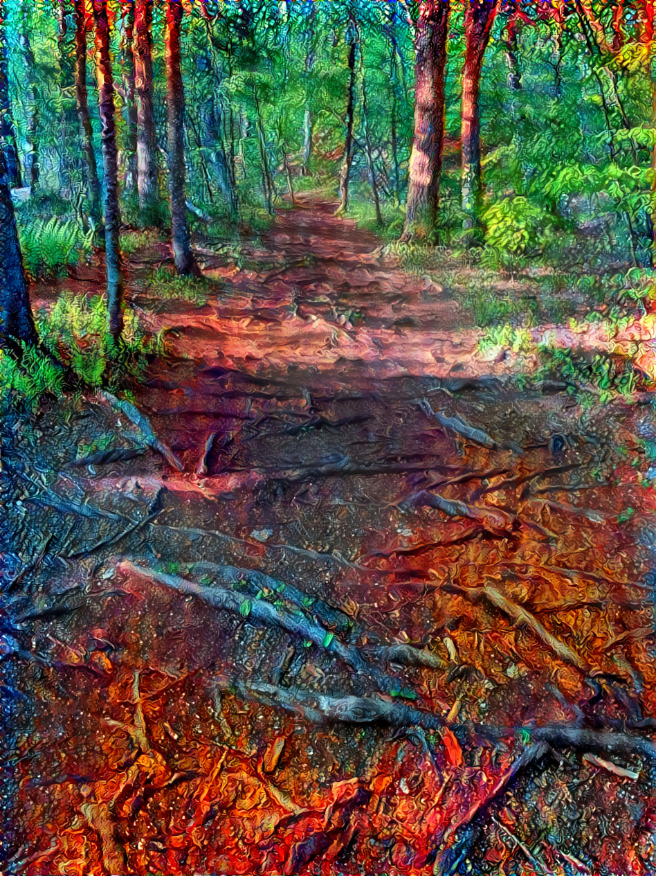 Path