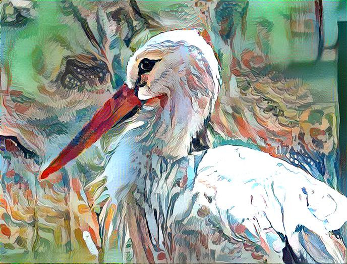 Storch