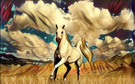  A horse in a field