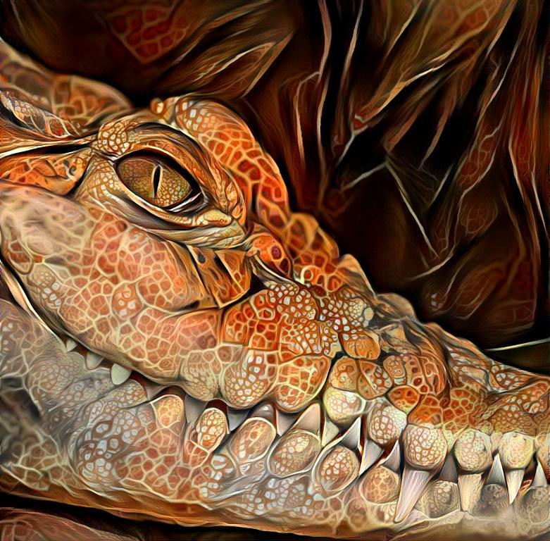 SP Crocodile Smile