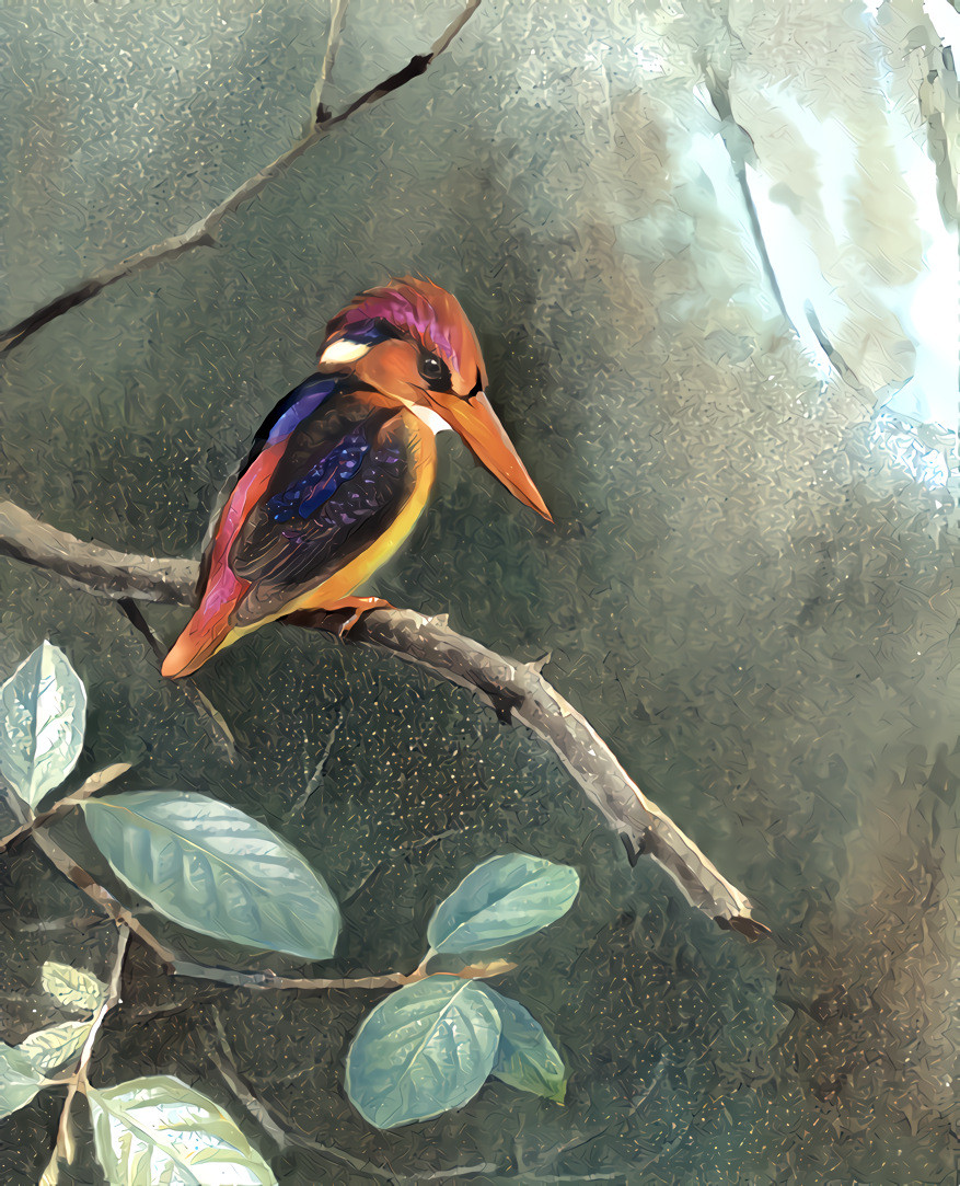 Indian Three-toed Kingfisher.  McGill University Library Print Collection.  Artist Unnamed.