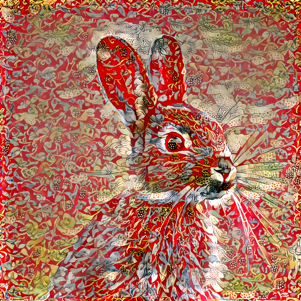 rabbit