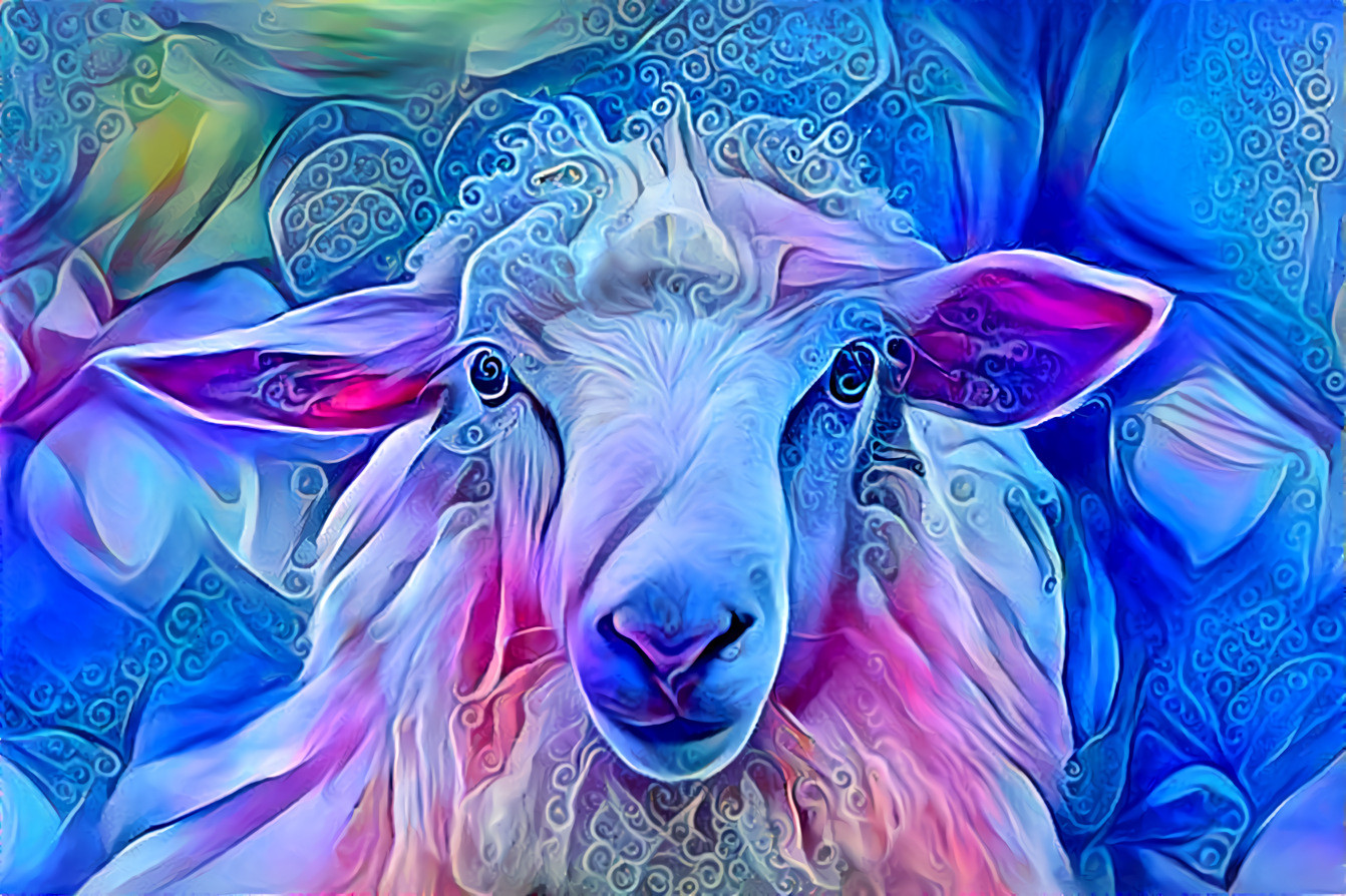 Deep Sheep 4