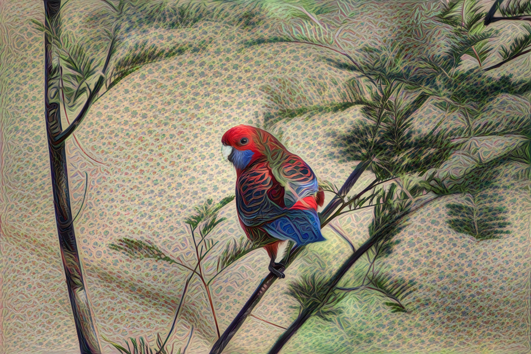 Crimson Rosella Parrot