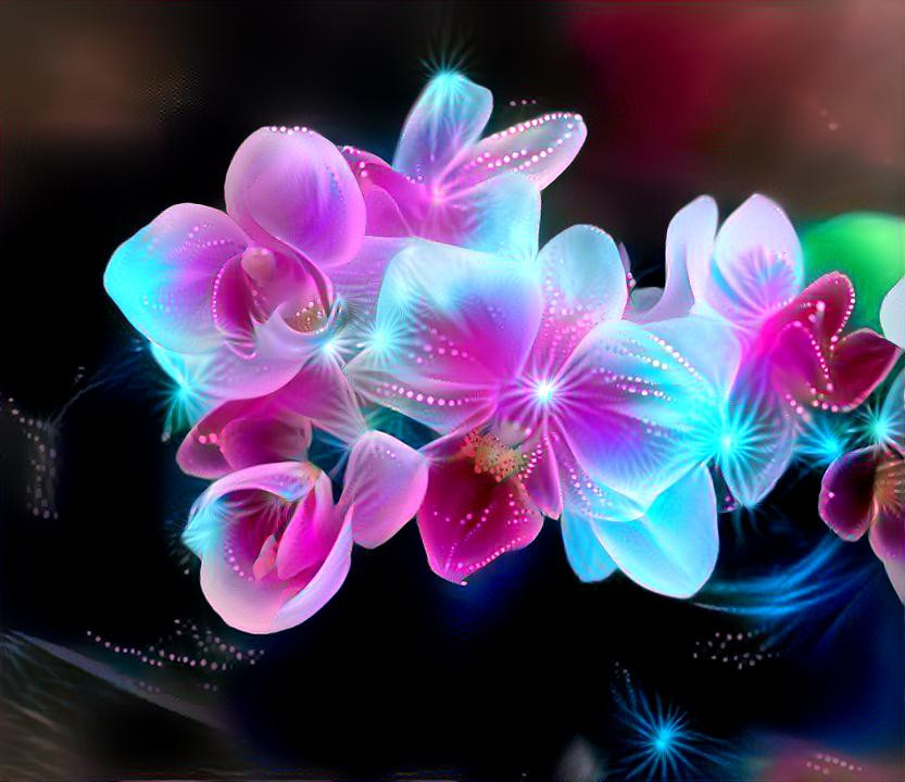 Glowing Orchids