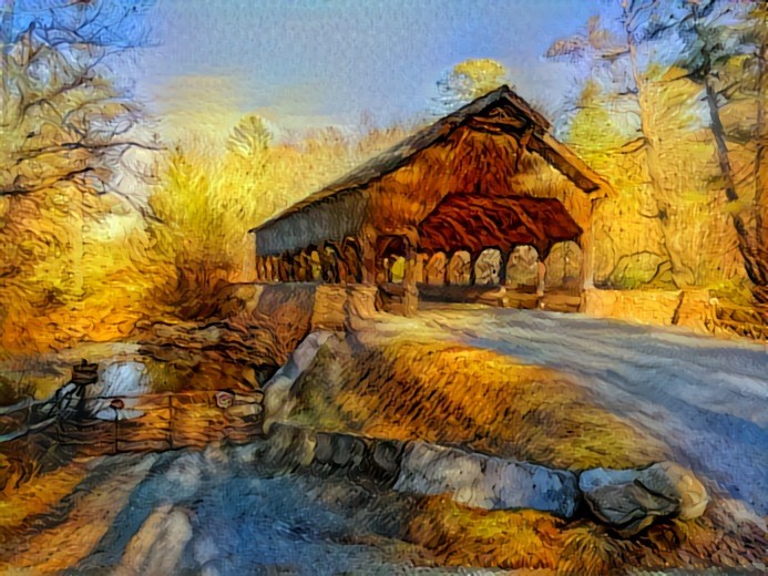 Covered Bridge in DuPont State Forest