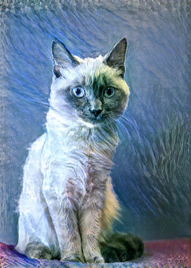 Deep dream kitty