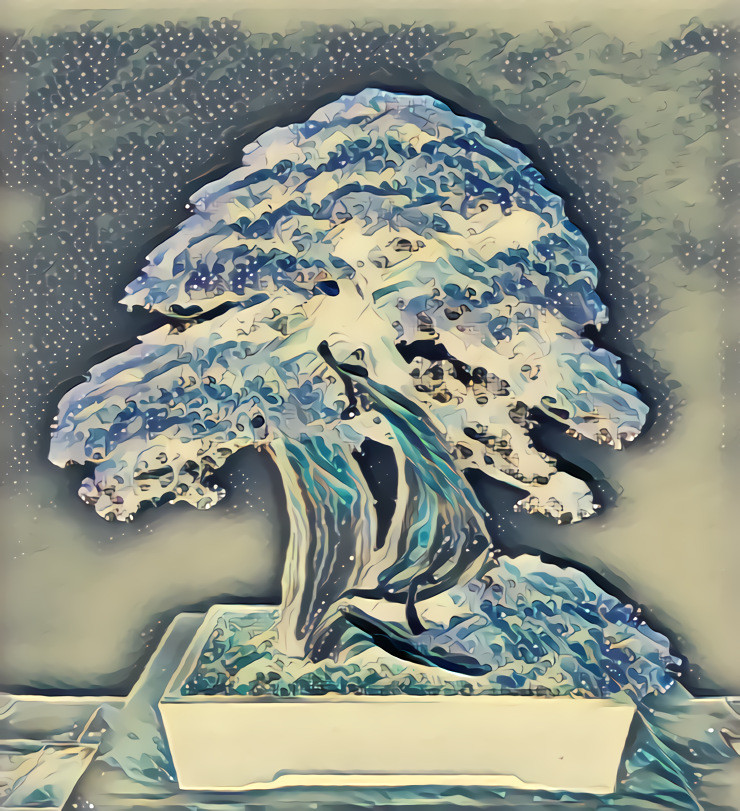 Bonsai II