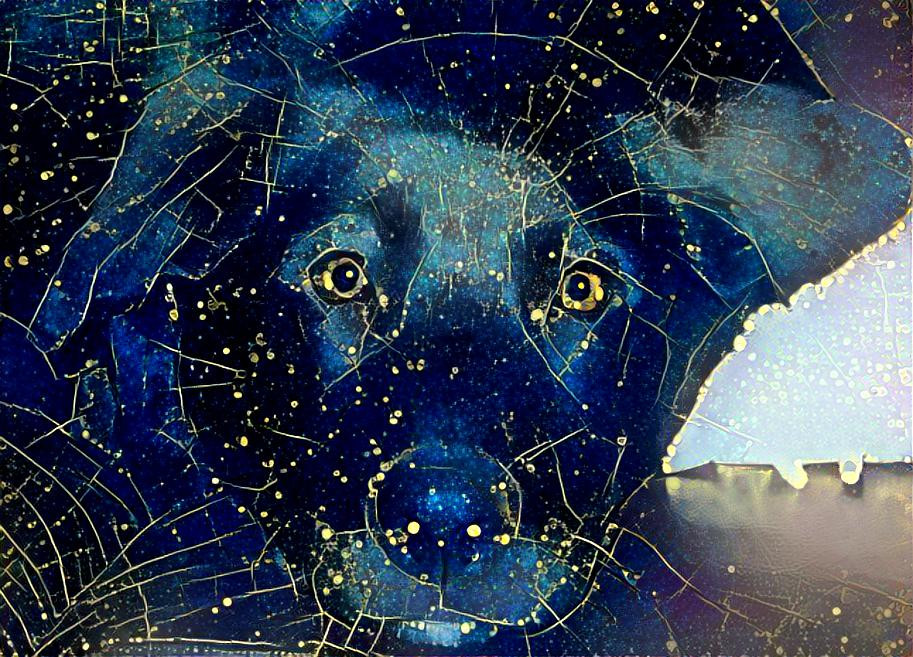 Ozzy is mapped in the stars