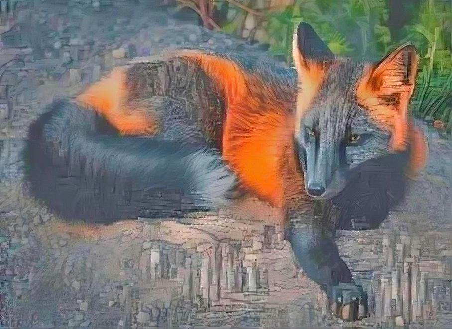 Fox