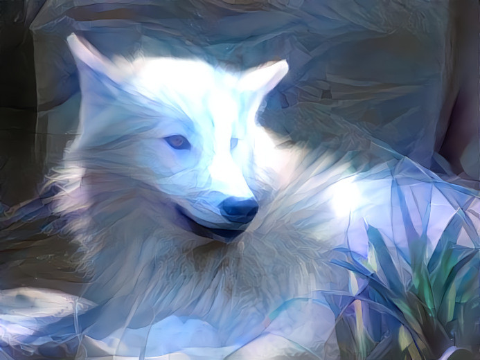 Witte wolf