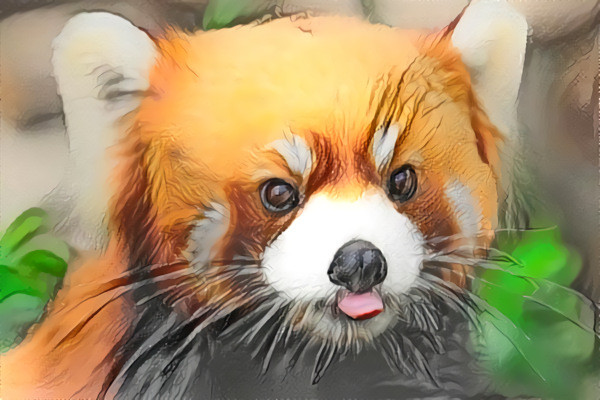 Endangered Red Panda: Ailurus fulgens