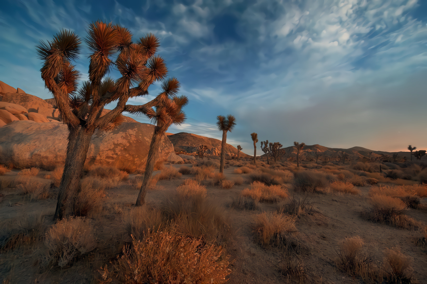 Arid Land, Cactus at Dawn