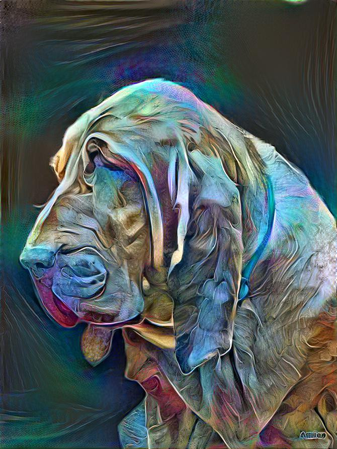 My bloodhound girl Iranda