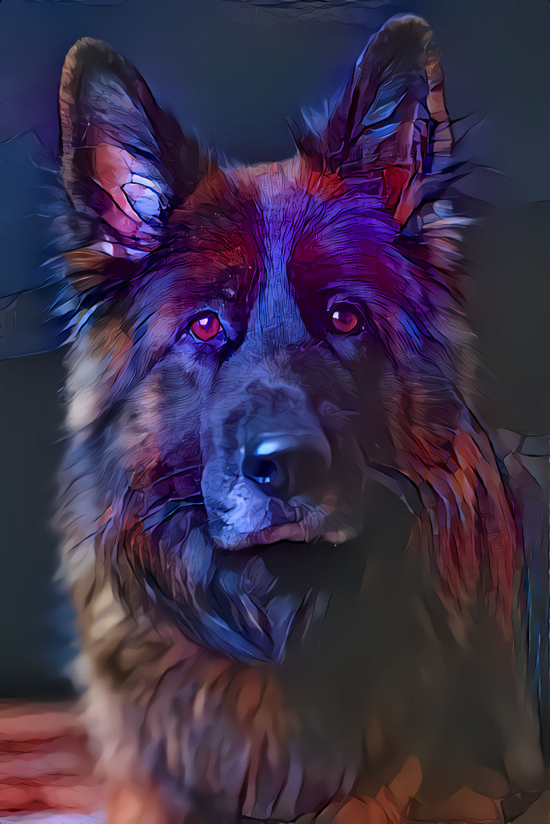 German Shepherd, at Attention (V2)