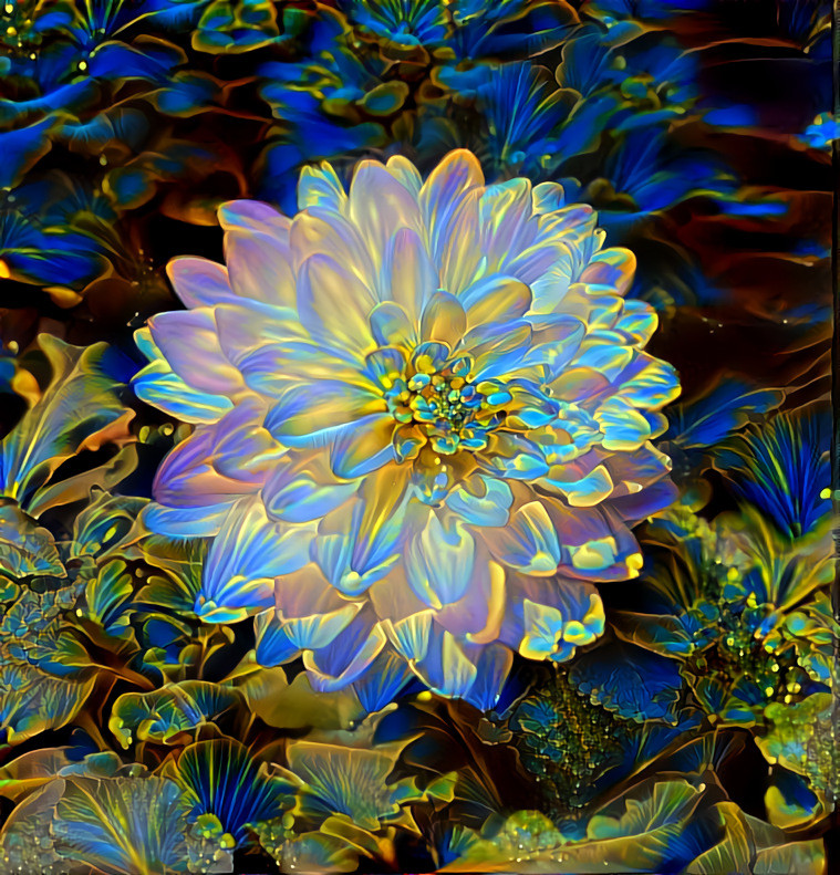 Flower (OC)