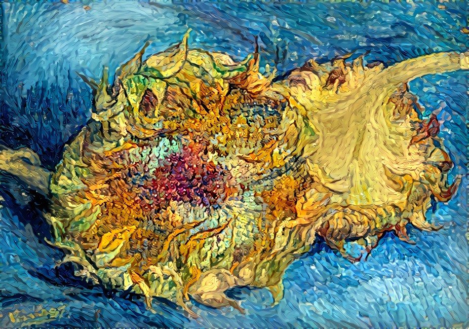 Van Gogh Sunflower Seeds