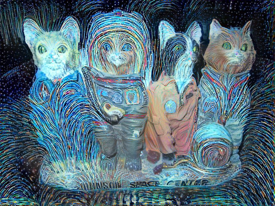 Space Cats