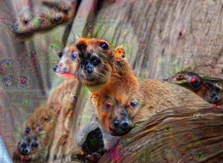 hyraxius