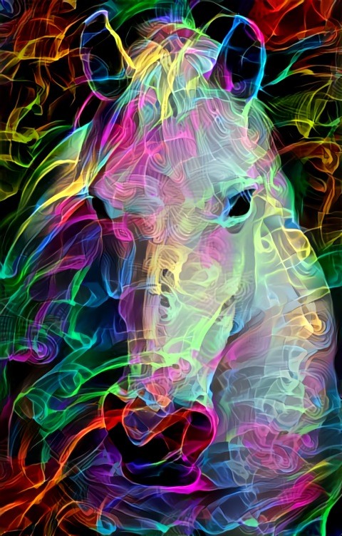 Beautiful horse