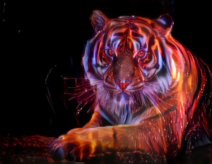 Neon Tiger 001