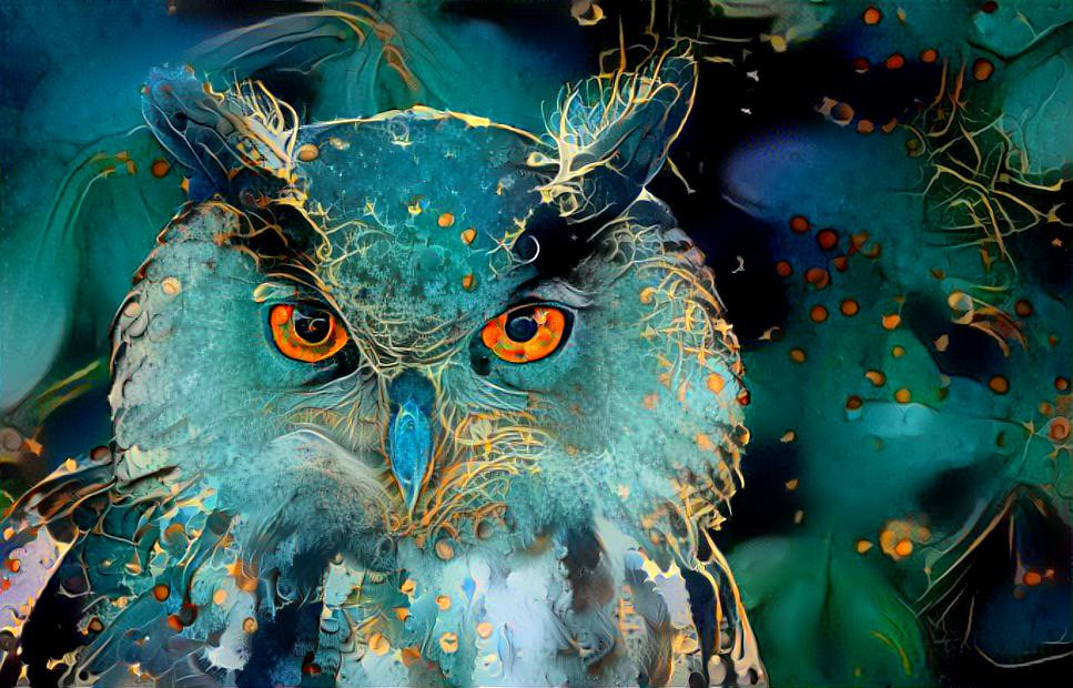 Owl, birds, forest, wild