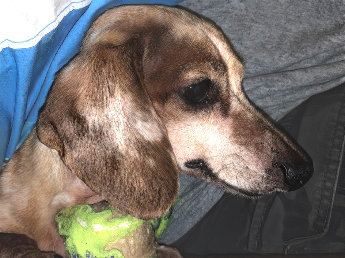 My sweet Gracie Mae with her favorite ball.