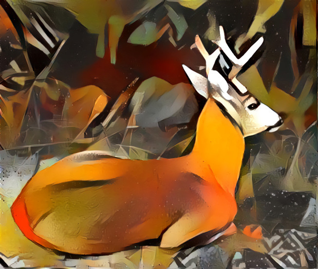 Resting Deer