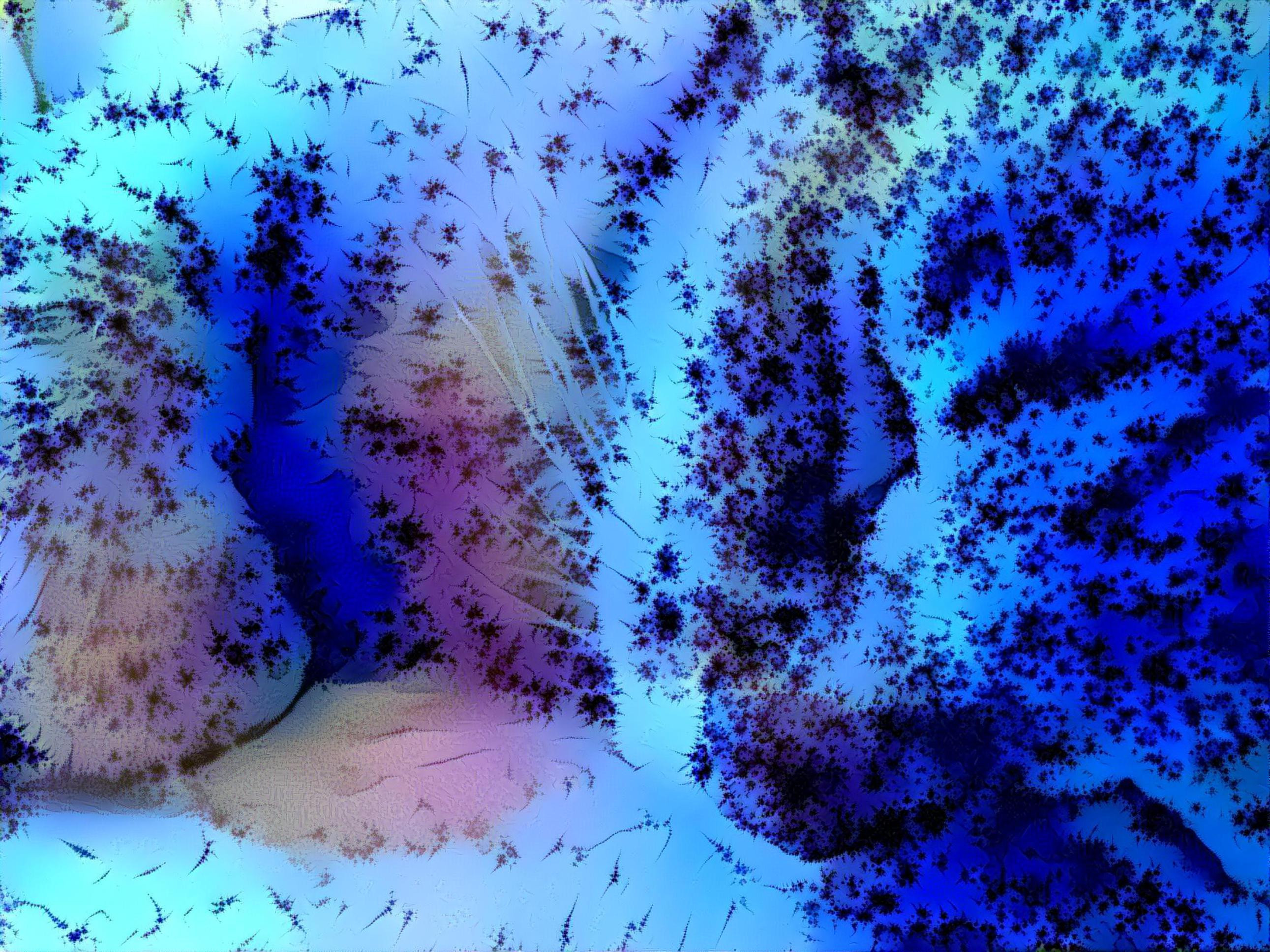 Mandelbrot Cat