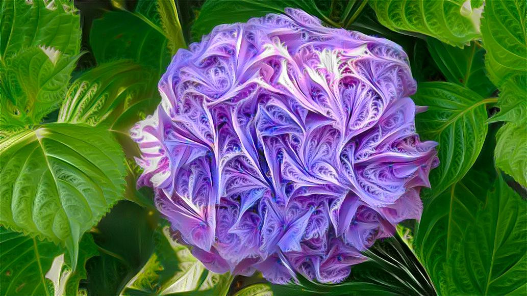 Deep Dream: Hydrangea