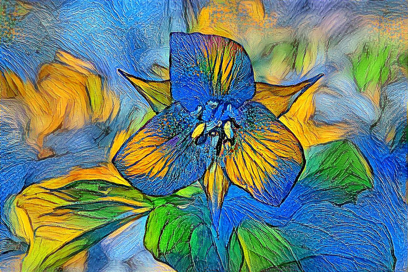 Blue Trillium