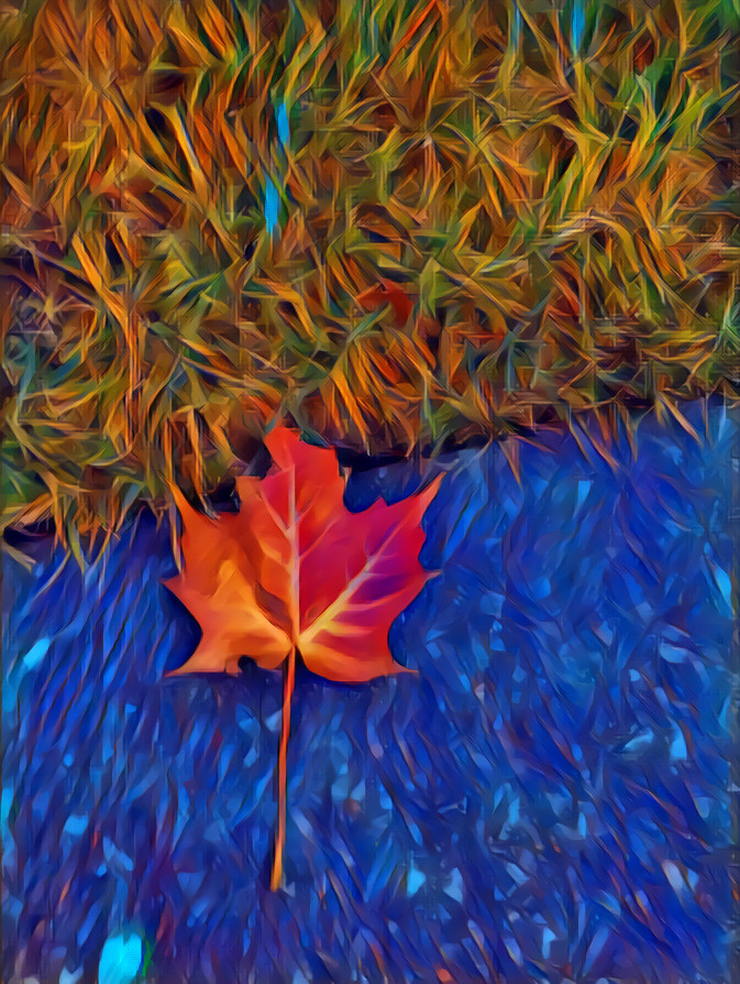 Single fall leaf in vibrant color