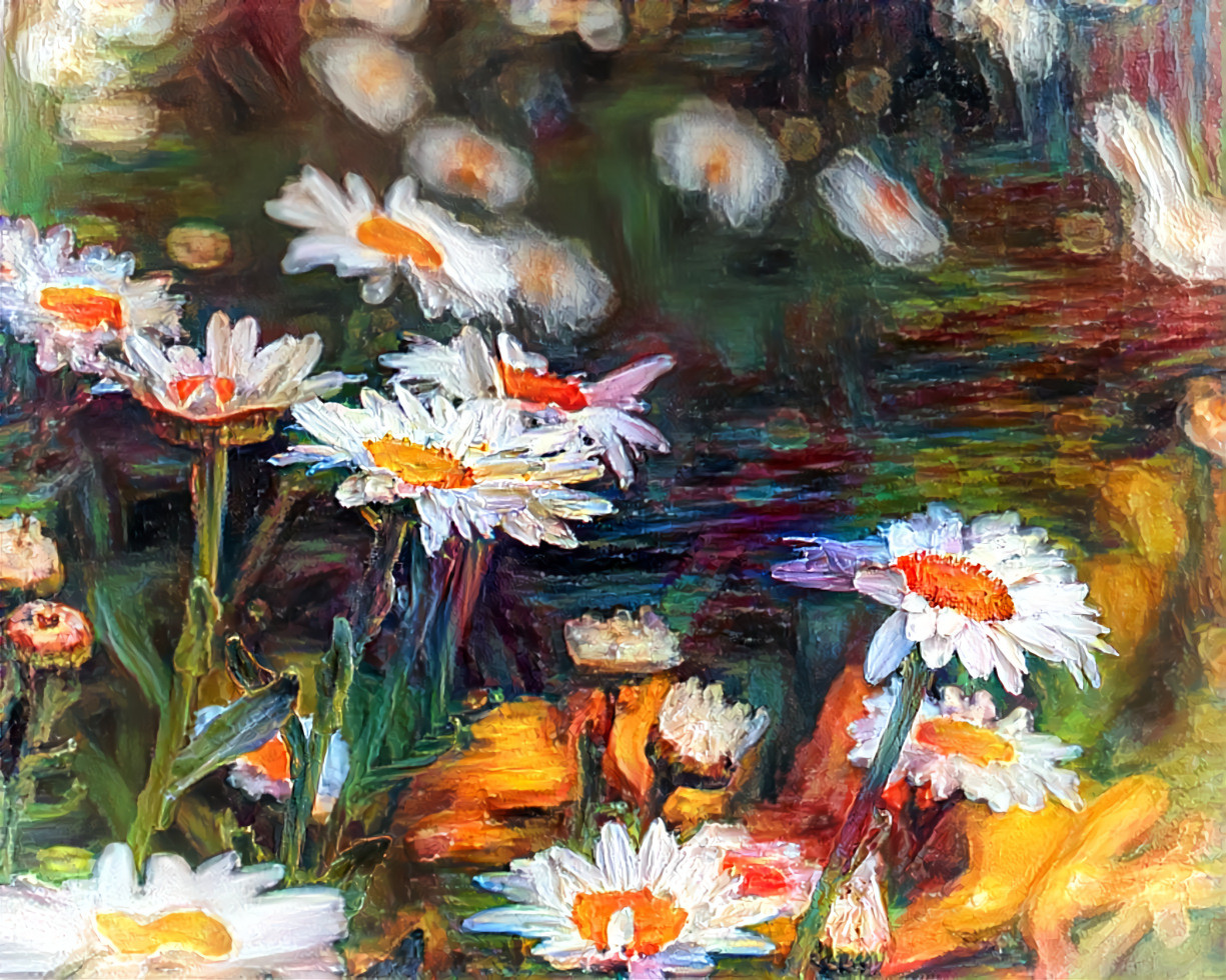 Daisies