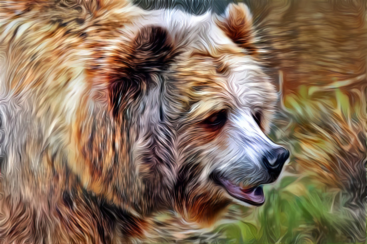 Bear