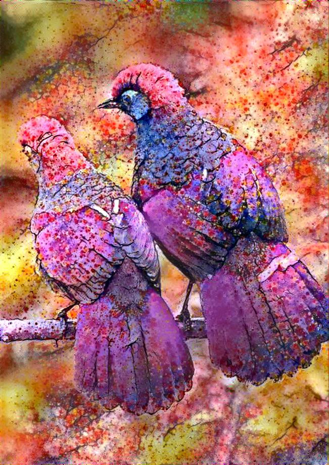 Cerise Birds