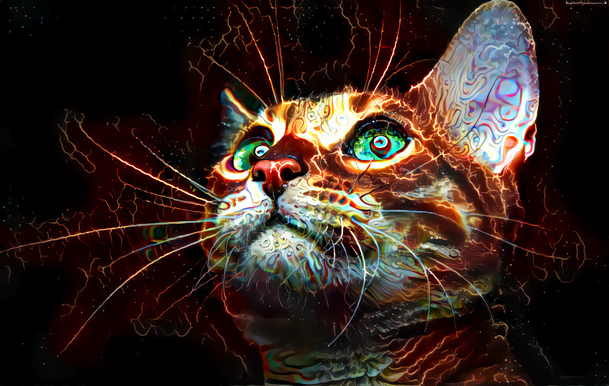 Trippy Kitty